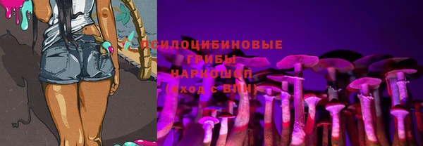винт Алексеевка