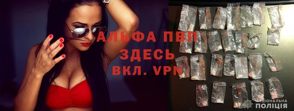 твердый Алексин
