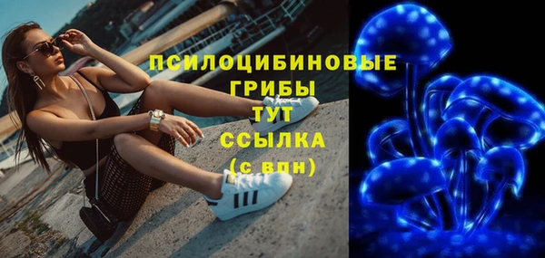 герыч Алзамай