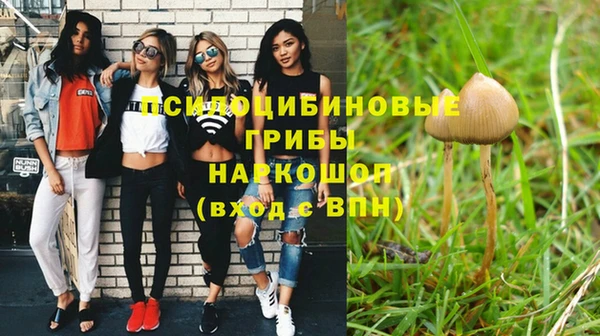 винт Алексеевка